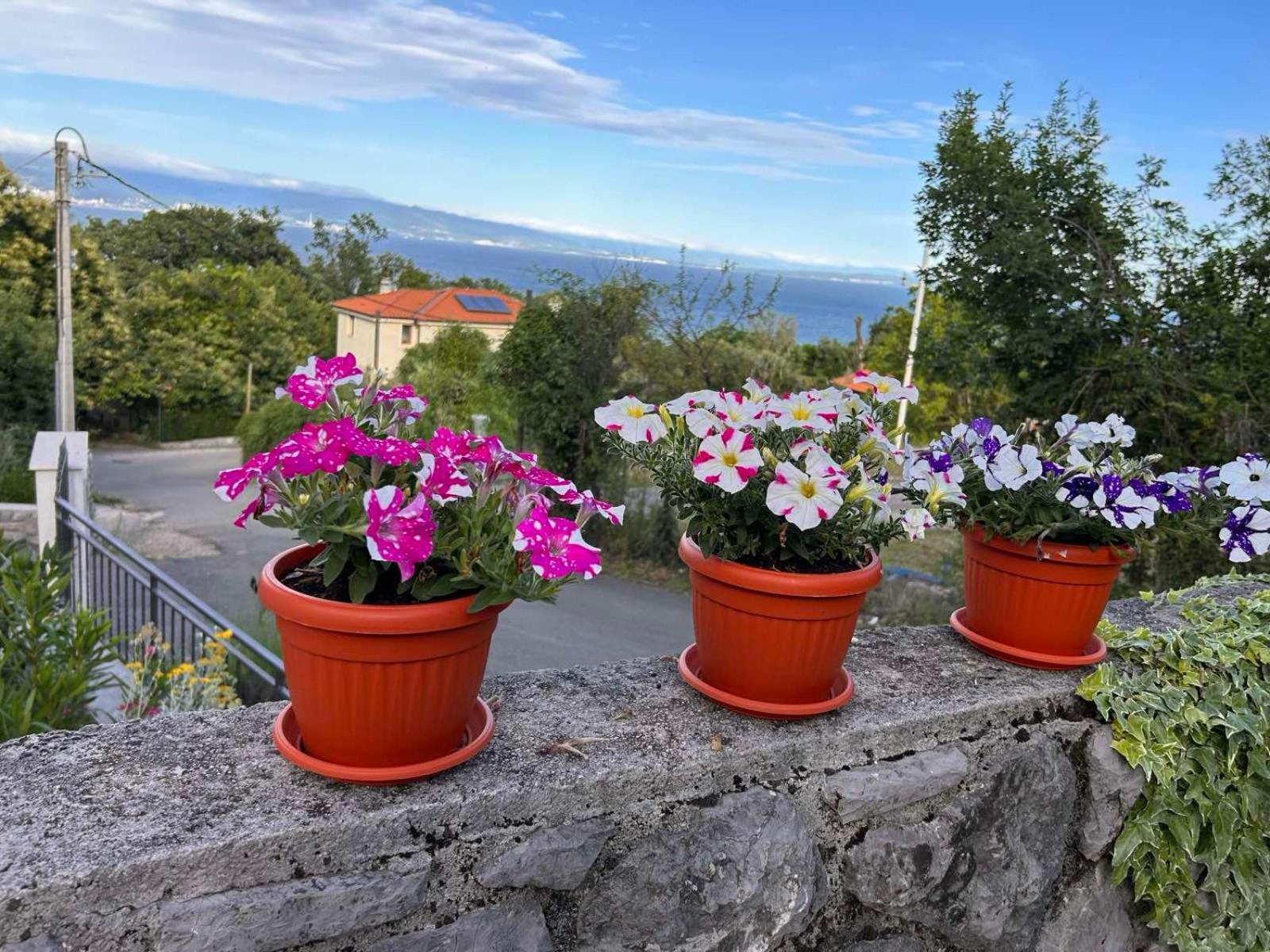 Villa Zita Lovran Opric Exterior foto